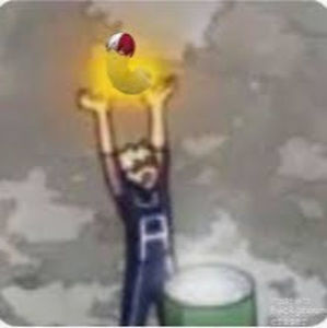 Meet your Posher, Cameron